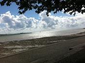 Philosophie mort l'homme