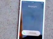 [Vidéo] L'influence d'un iPhone des... fourmis