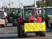 L’agriculture malade capitalisme