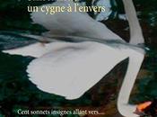 Sansonnets, cygne l'envers Cent sonnets, insignes allant vers.... Pierre Thiry