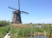 Kinderdijk