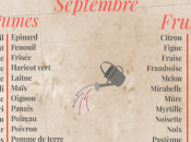 Calendrier Septembre Ruche