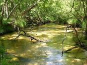 L'avenir Sauternes menacé lignes grande vitesse