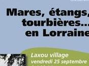 Vingt-neuvième Rendez-vous Nature Laxou