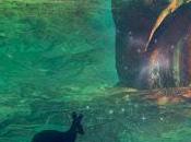 Seconde dédicace 2015-2016 dans Vosges [ici]