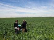 Comment énergies vertes font leur chemin dans campagnes françaises