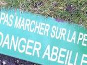 Disparition abeilles