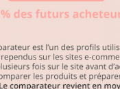 Econome, insatisfait, engourdi… l’e-consommateur dévoile