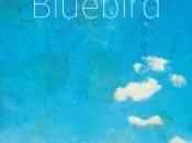 Bluebird, dans chanteurs blues