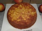 Gateau pommes sans gluten lait thermomix