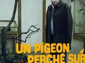 Critique Bluray: Pigeon perché branche philosophait l’existence