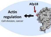 CANCER: toxine naturelle poisson effets anticancéreux Nature Communications
