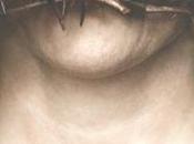 testament Marie Colm TÓIBÍN (Rentrée littéraire 2015)