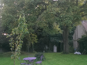 Derniers jours jardin