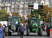 plan d’aide éleveurs sera géré homme d’affaires proche Beulin mais failli