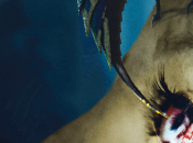 [Concours] Stung gagnez film