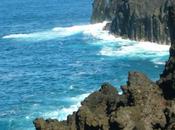 Carnet voyage l’île Réunion -partie