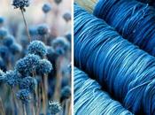 Leçon Déco Bleu Décryptage