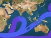 circulation océanique climat