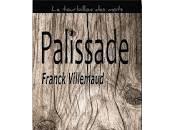 Palissade Franck Villemaud