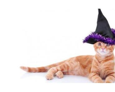 Top 10 des déguisements de chats pour Halloween