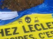 Rochelle action Greenpeace contre hypermarché Leclerc