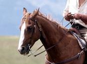 [critique] Légendes d'automne fureur vivre