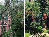 Visite déco Jardins secrets Nîmes