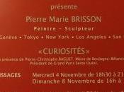 Galerie Arnaud BARD exposition Pierre Marie BRISSON curiosités