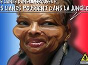 Taubira, cible racistes Facebook
