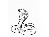 dessin serpent