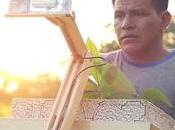 Cette lampe nous éclairer grâce l’énergie plantes