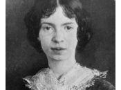 Emily Dickinson frégate…