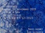 Exposition Pour finir l’année 2015 Galerie Aude Guirauden Toulouse