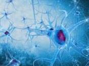 ÉPILEPSIE: Traiter plutôt neurotransmetteurs Journal Neuroscience