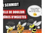 L’index Schmidt l’ĂŠchelle douleur piqĂťres d’insectes