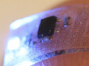 LEDs bloqueront bientôt douleur