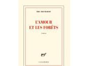 Éric Reinhardt L’amour forêts
