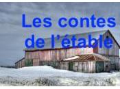 Fausses idées politiquement correctes