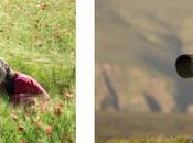 [Podcast #32] Développer votre style photo avec Stéphanie David Allemand