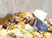 COP21 Incinérateur d'Échillais scandale écologique devenir