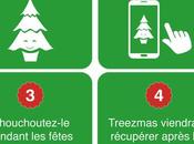 UBER vous livre votre sapin Noël