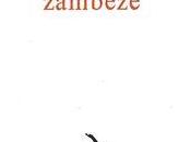 Ludovic Degroote, zambèze Angèle Paoli