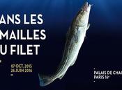 Dans mailles filet trafic triangulaire