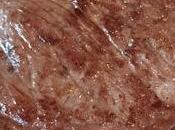 maison l’aubrac paradis viandards