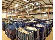 Entrepreneuriat Afrique défis perspectives