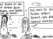Régionales hautes couleurs