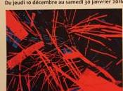 Galerie Daniel BESSEICHE exposition David APIKIAN