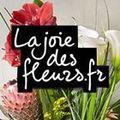 beaux cadeaux joie fleurs