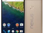 Nexus Special Edition disponible Inde semaine prochaine
